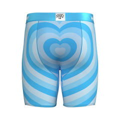 BLUE HEART BRIEFS