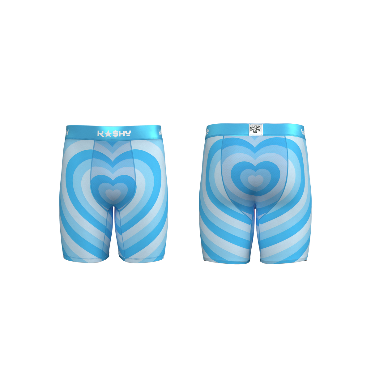BLUE HEART BRIEFS