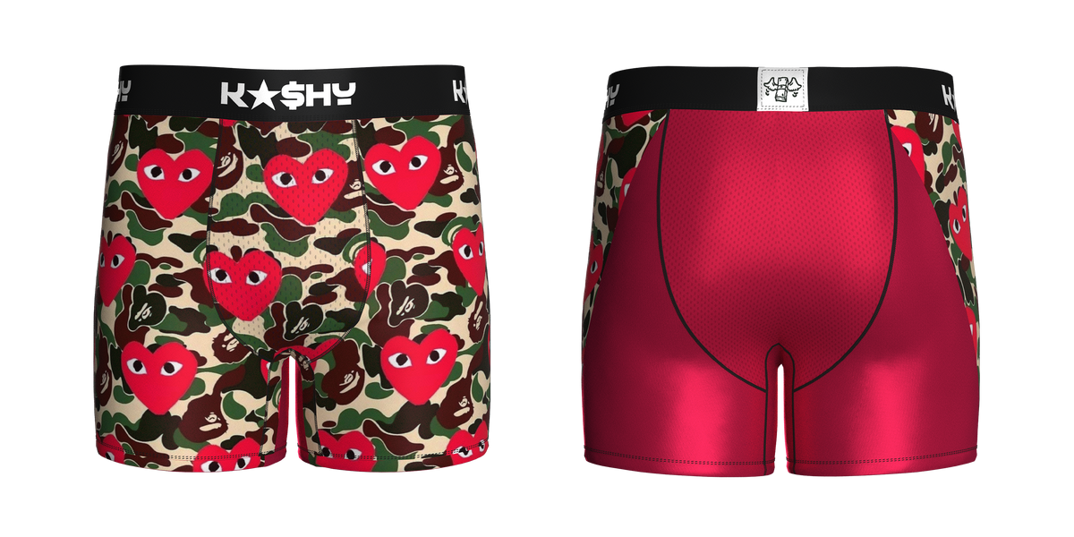 DES HEART BRIEFS